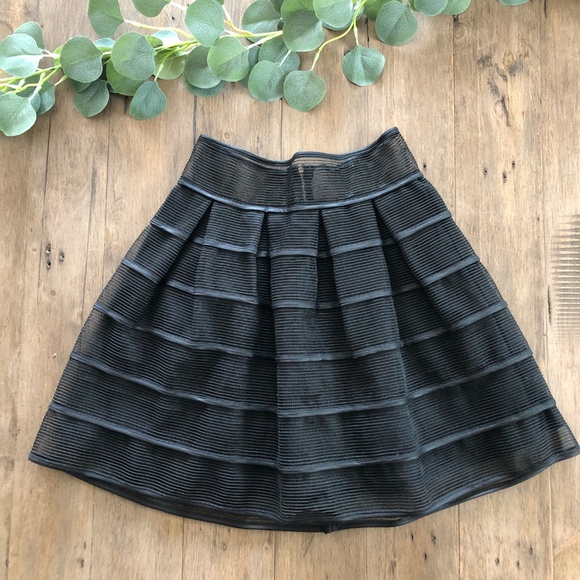 Luxxel Dresses & Skirts - Luxxel | Black Striped Sheer Flare Skirt